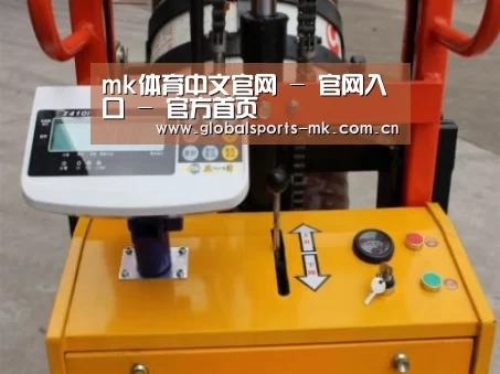 mk体育平台首页案例展示三