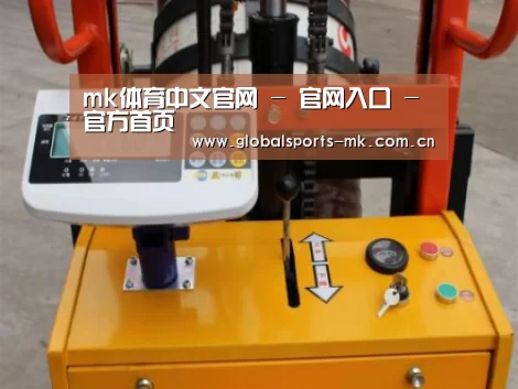 mk体育平台首页案例展示三(图1)