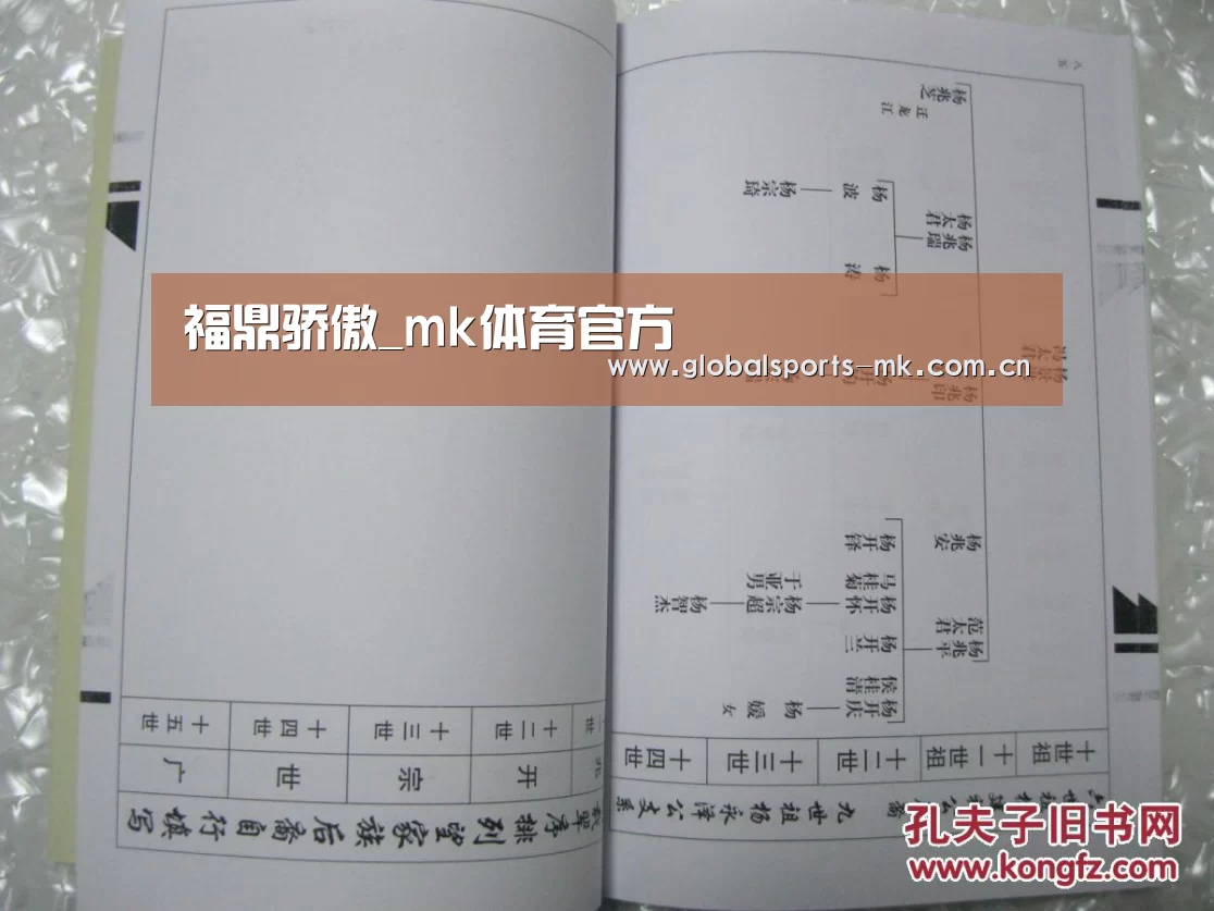 福鼎骄傲_mk体育官方(图2) mk体育官方